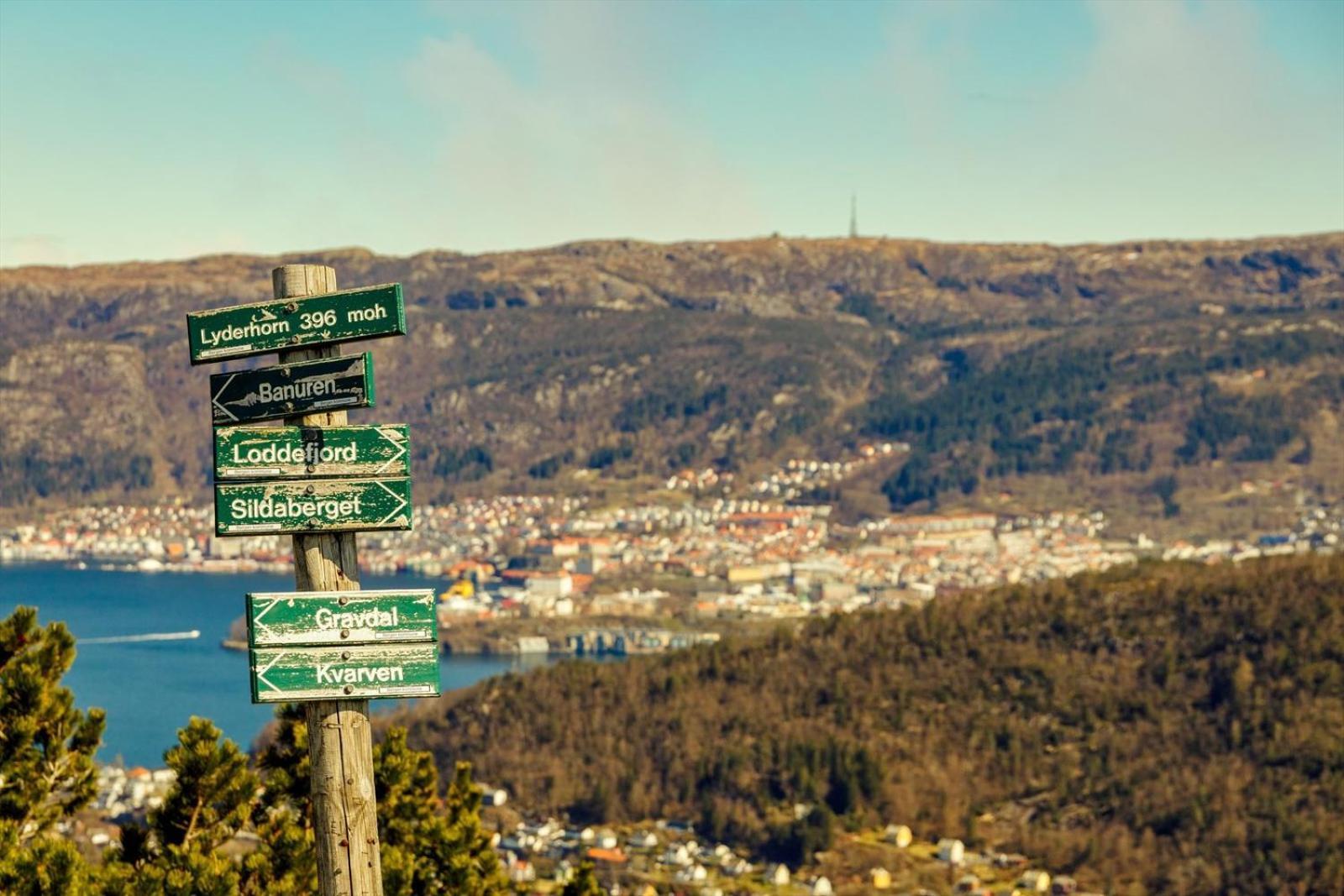 A Beautiful 3-Bedroom Apartment With Stunning Views And Free Parking Bergen Eksteriør bilde